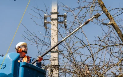 Gallyazás a zavartalan áramszolgáltatásért